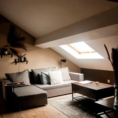 Cosy 2-bedroom In The Center Of Appartement *